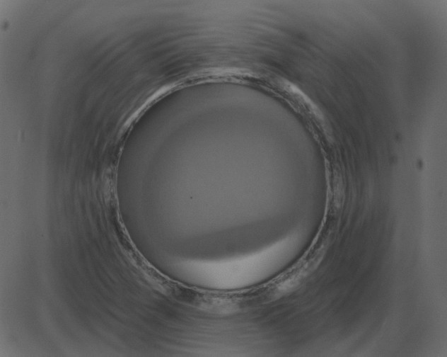 X0000087411361200705181347