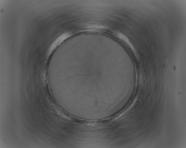 X0000087411362200705181347