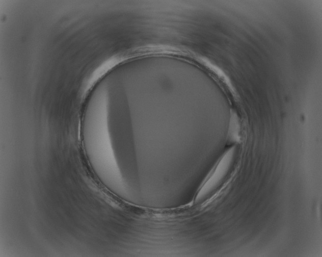 X0000087411365200705181347