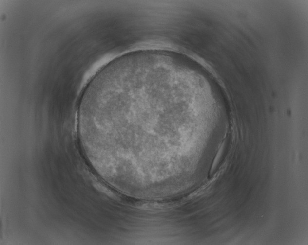 X0000087411366200705181347