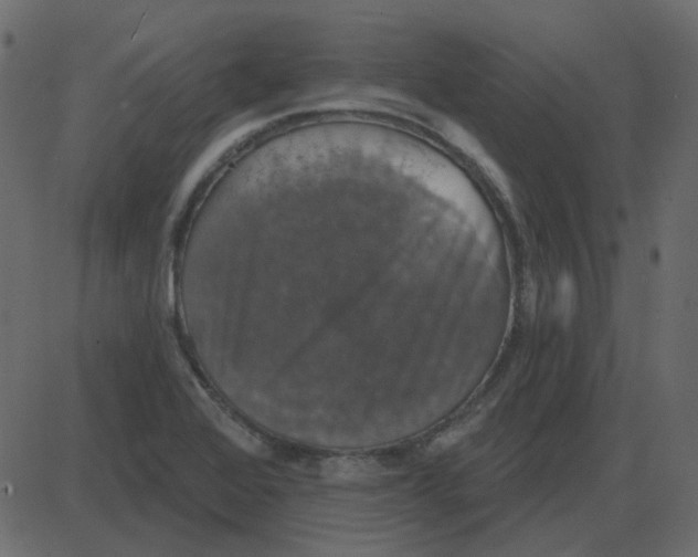 X0000087411368200705181347