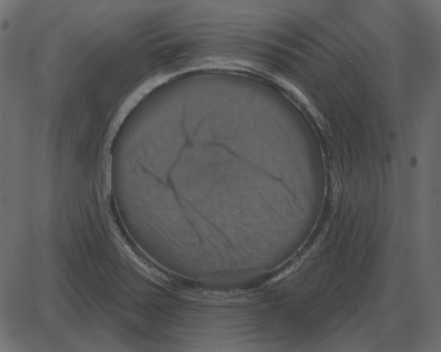 X0000087411371200705181347