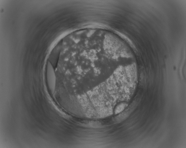 X0000087411375200705181347