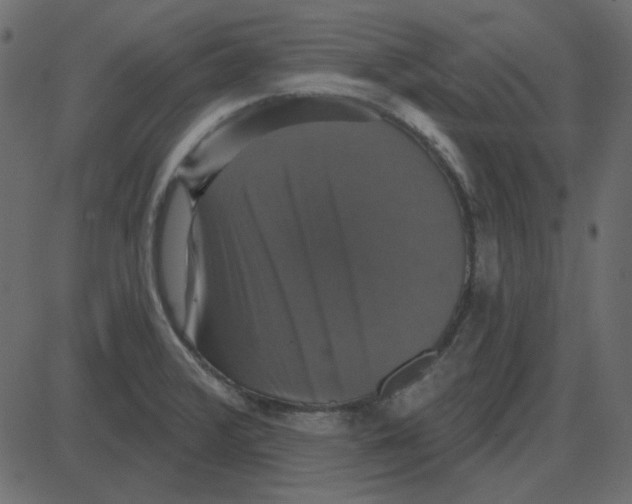 X0000087411376200705181347