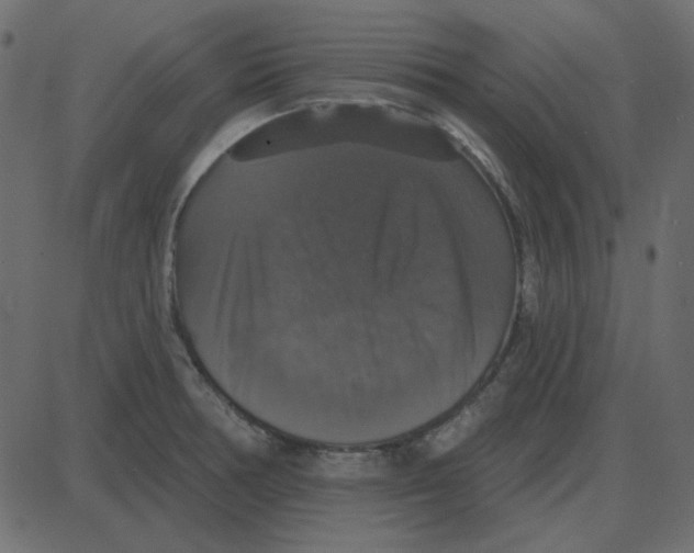 X0000087411378200705181347