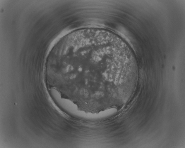 X0000087411379200705181347