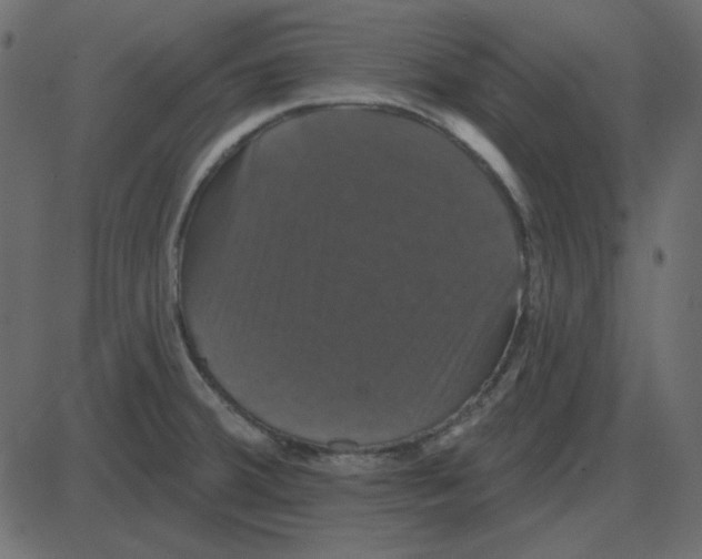 X0000087411380200705181347