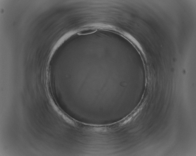 X0000087411381200705181347