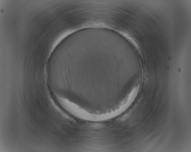 X0000087411382200705181346