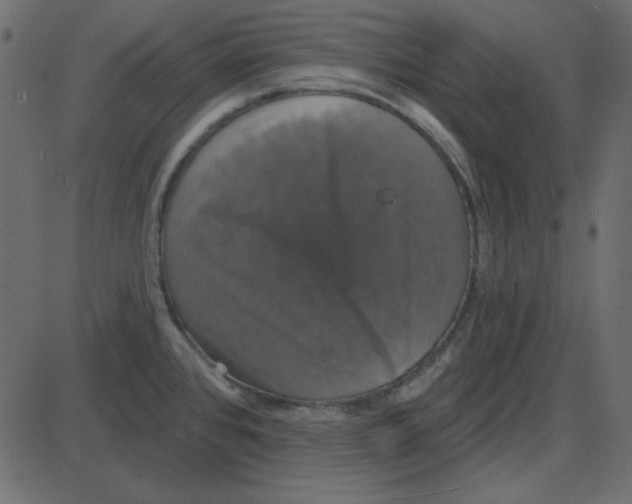 X0000087411384200705181346