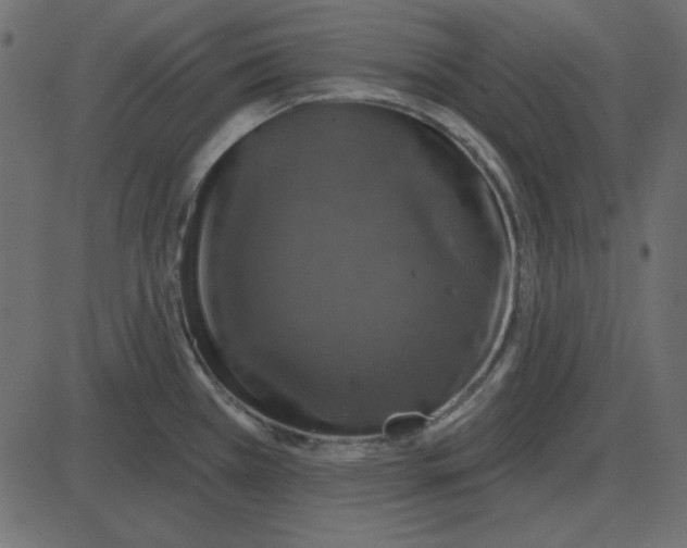 X0000087411385200705181346