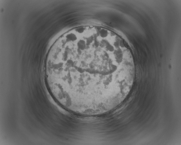 X0000087411387200705181346