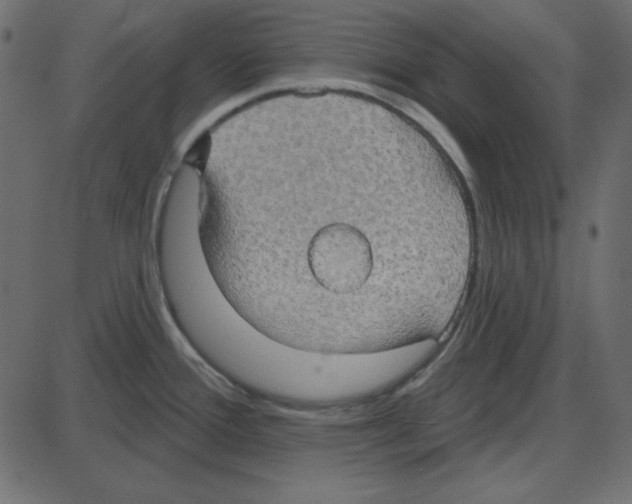 X0000087411388200705181346