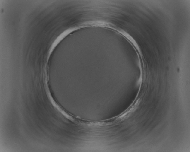 X0000087411389200705181346