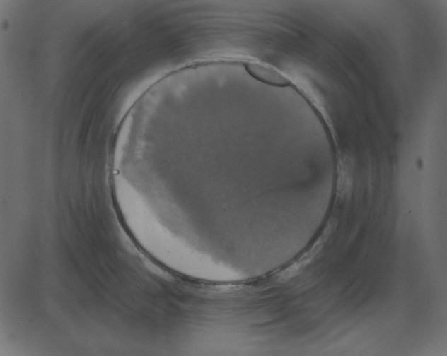 X0000087411390200705181346