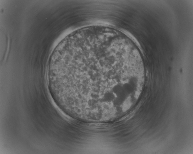 X0000087411391200705181346