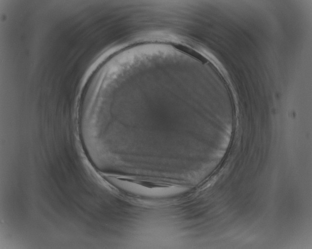 X0000087411392200705181346