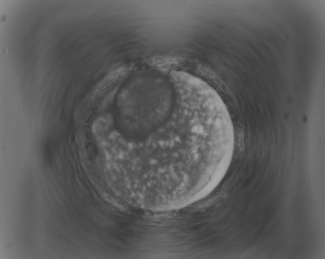 X0000087411393200705181346