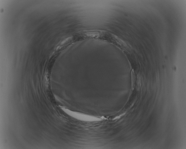 X0000087411394200705181346