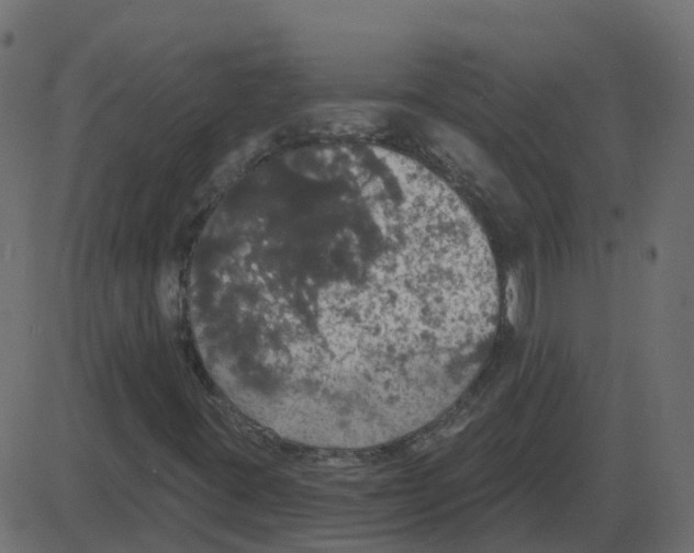 X0000087411395200705181346