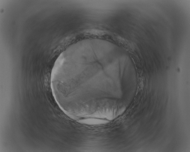 X0000087411397200705181346