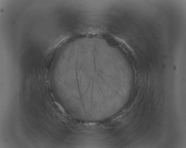 X0000087411399200705181346