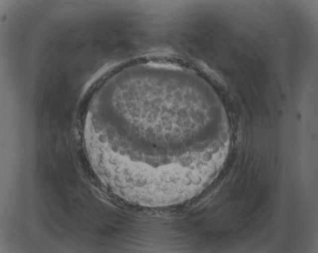 X0000087411400200705181346