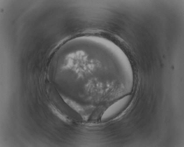 X0000087411401200705181346