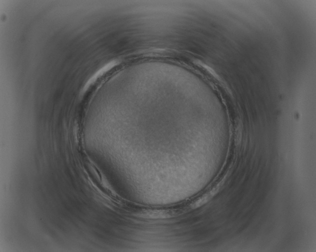 X0000087411402200705181346