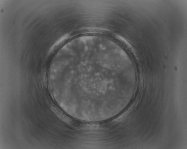 X0000087411403200705181346