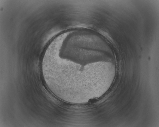 X0000087411404200705181346