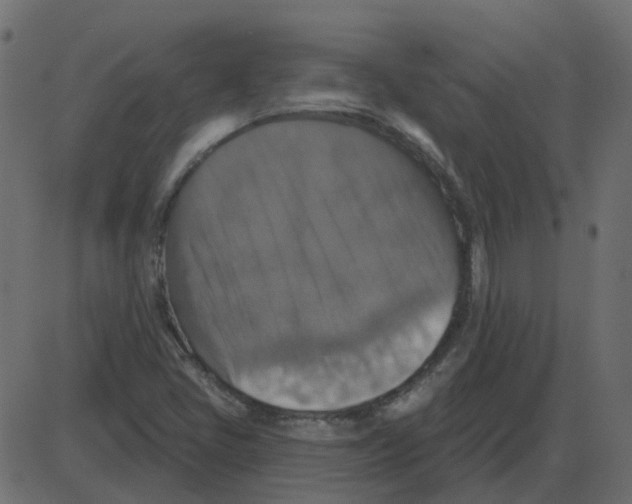 X0000087411405200705181346