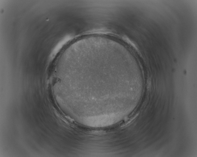 X0000087411406200705181346