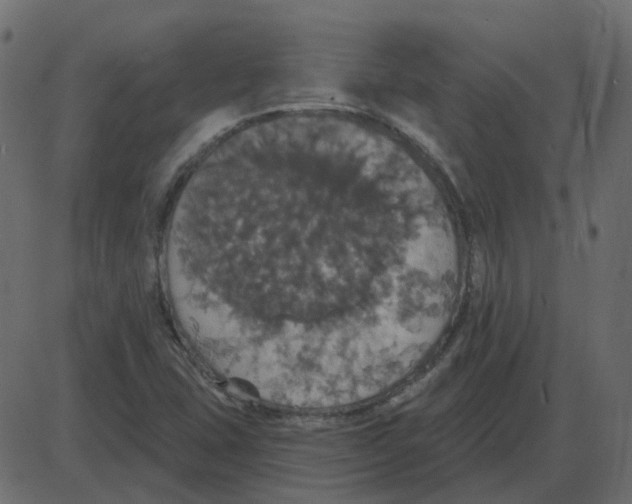 X0000087411407200705181346