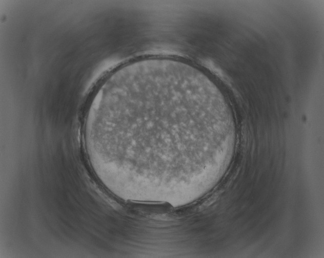 X0000087411408200705181346