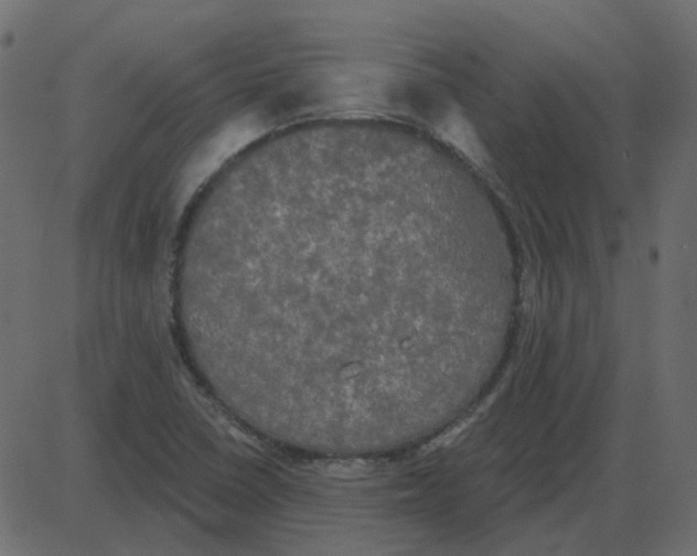 X0000087411410200705181346