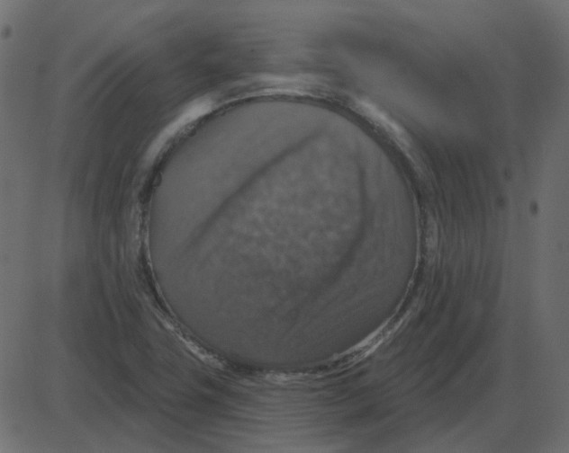 X0000087411411200705181346