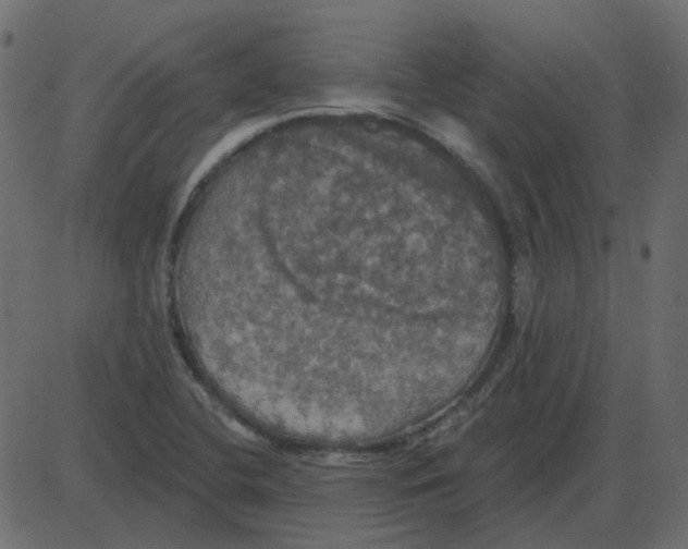 X0000087411412200705181346