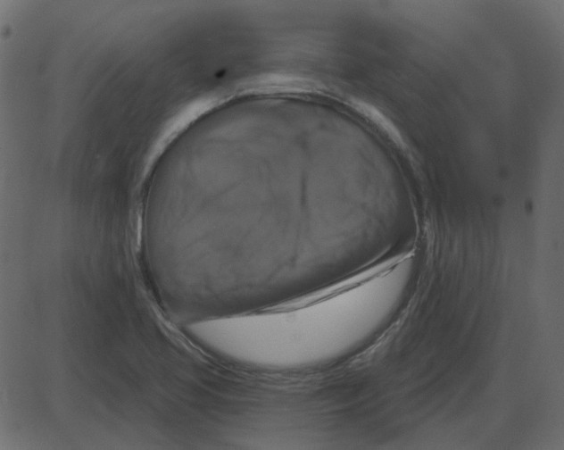 X0000087411413200705181346