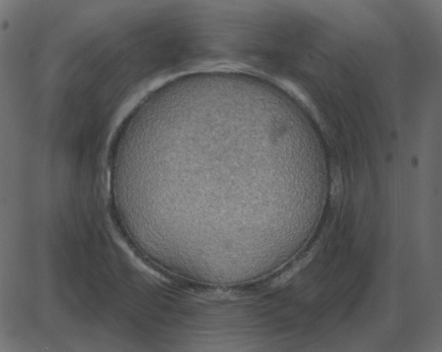 X0000087411414200705181346