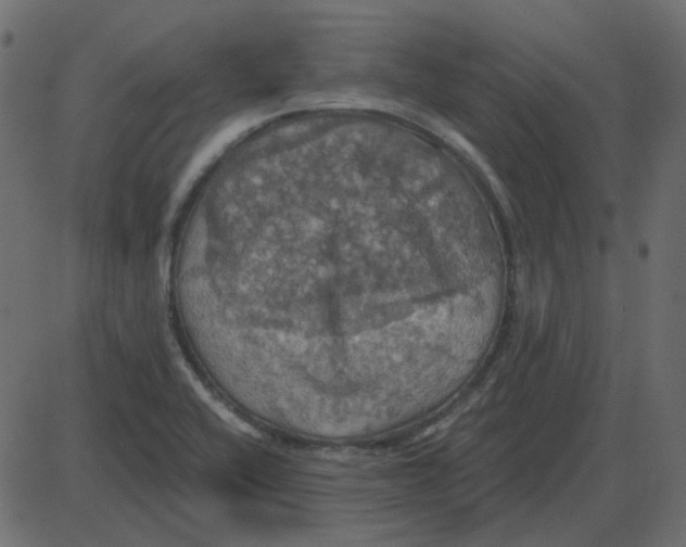 X0000087411416200705181346