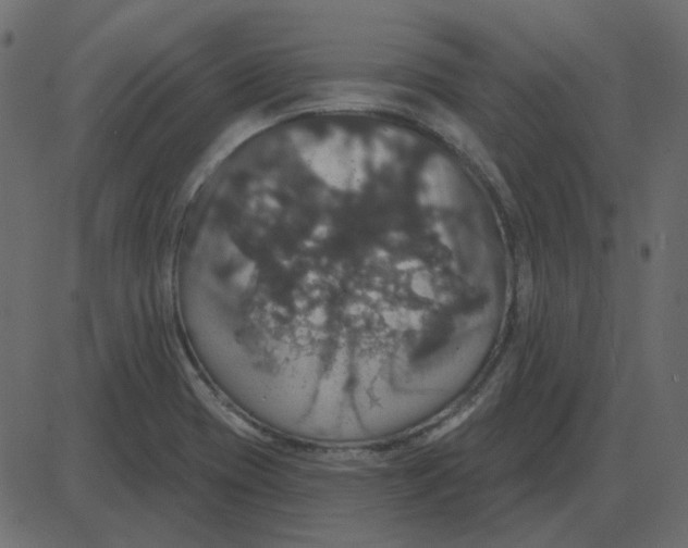 X0000087411417200705181346