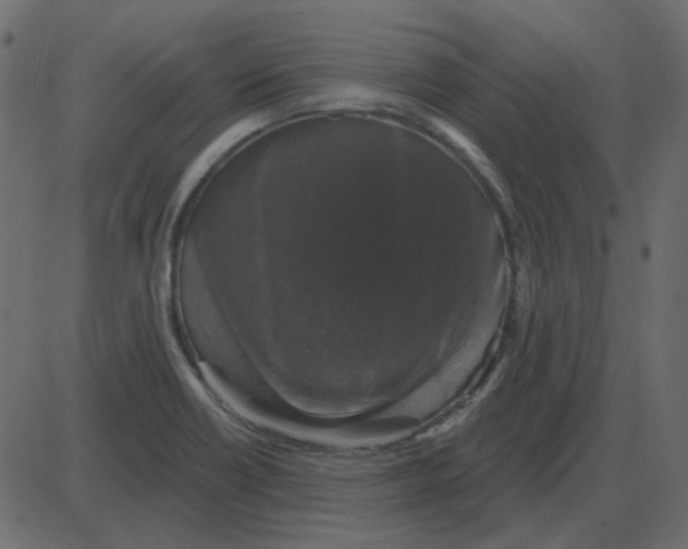 X0000087411418200705181346