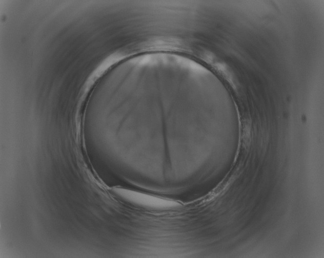 X0000087411419200705181346