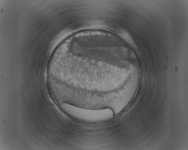 X0000087411420200705181346