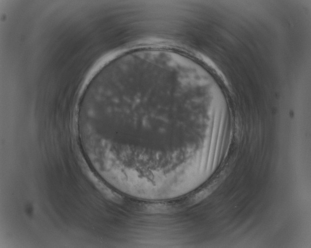 X0000087411421200705181346