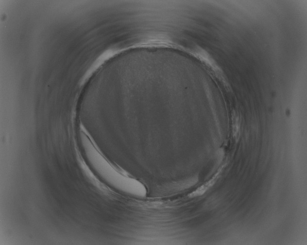 X0000087411422200705181346