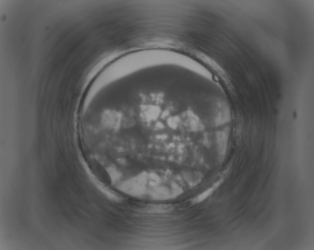 X0000087411423200705181346