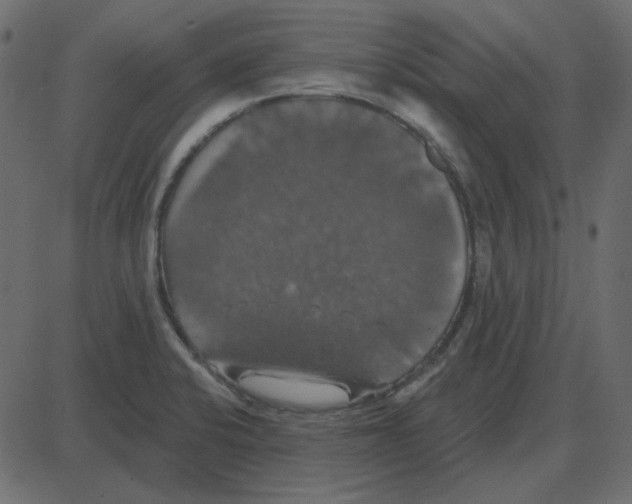 X0000087411424200705181346