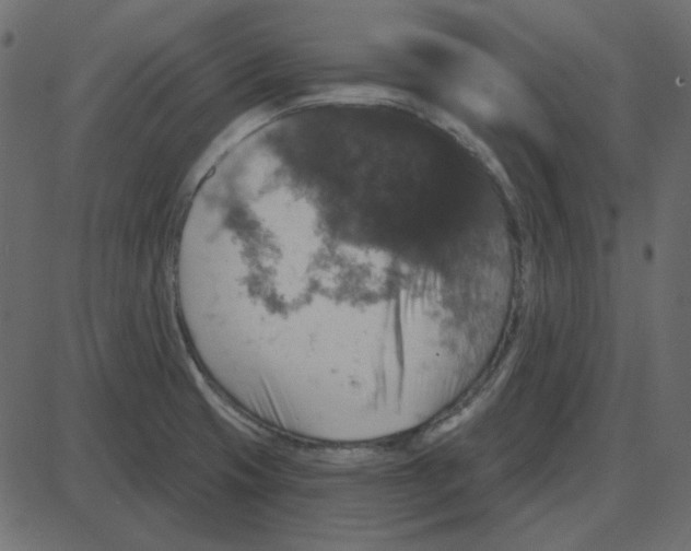 X0000087411425200705181346